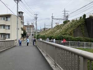 川沿いのお散歩